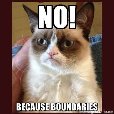 Even grumpy cat has boundaries. 